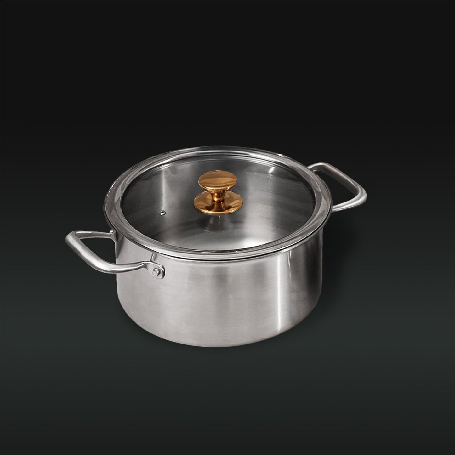 Taima Titanium Nutri Pot Pro